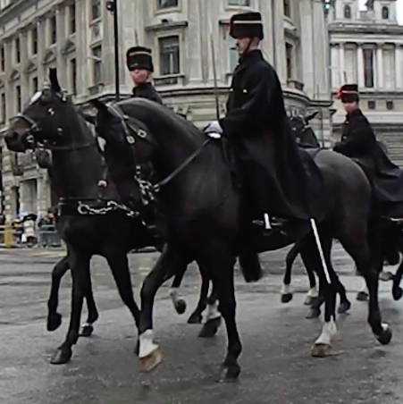 Royal Horse Artillery