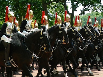 Trooping the Colour 5